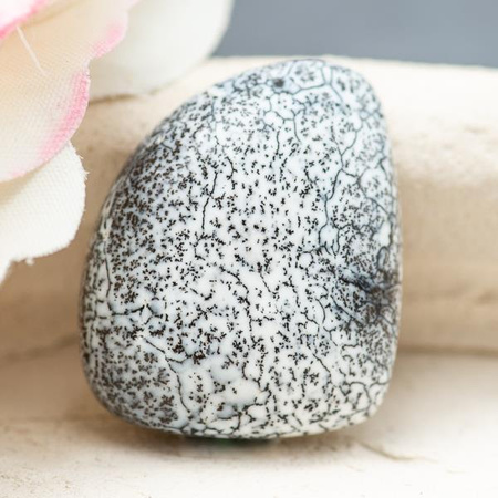 Kaboszon agat dendrytowy 21x18x6mm