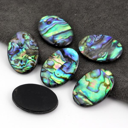 Kaboszon muszla paua tęczowa owal 25x18mm