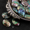 Muszla paua abalone owal 35-38mm
