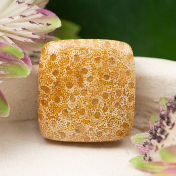 Kaboszon fossil 27x25x7mm