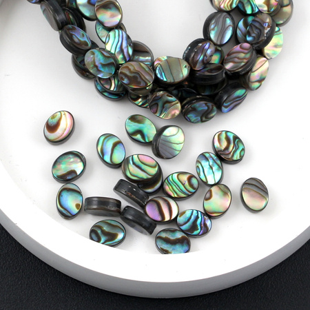 Muszla paua tęczowa owal 8x6mm