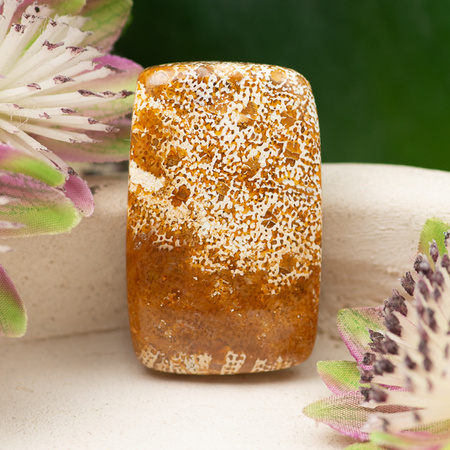 Kaboszon fossil 32x20x6mm