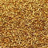 Miyuki Delica 11/0 Duracoat Galvanized Yellow Gold [5g]