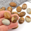 Kaboszon jaspis krajobrazowy owal 18x13mm