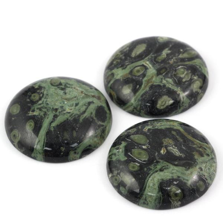 Kaboszon jaspis kambaba moneta 35mm