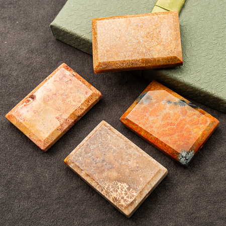 Koral fossil tabliczka prostokąt 50x34mm