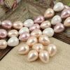 Perła seashell kropla kremowa 15x12mm