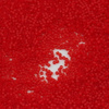 Miyuki Delica 11/0 Matted Transparent Red Orange [5g]
