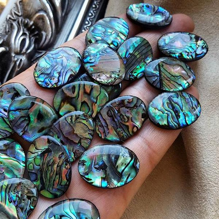 Kaboszon muszla paua tęczowa owal 25x18mm