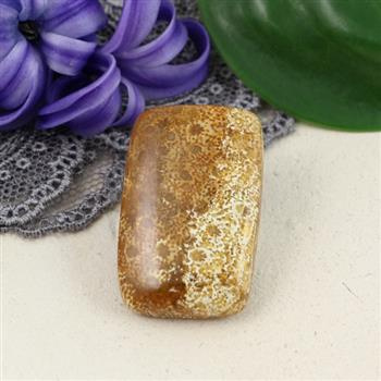 Kaboszon fossil 29x19x6mm
