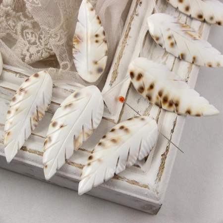 Muszla rzeźbione piórko w plamki 40-58mmmm