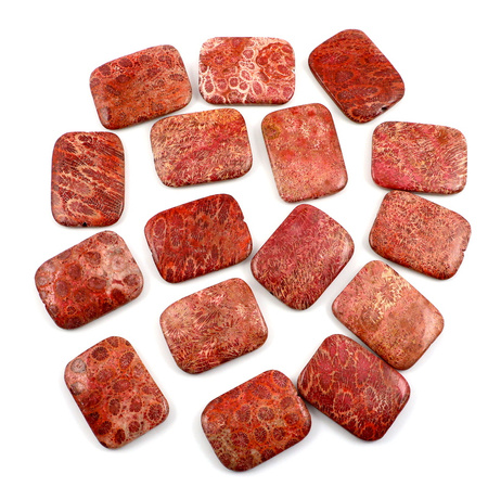 Koral fossil prostokąt 40x30mm