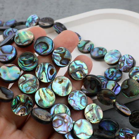 Muszla paua tęczowa moneta 14mm