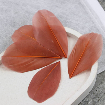 Naturalne pióro rude 6x3cm [10szt]