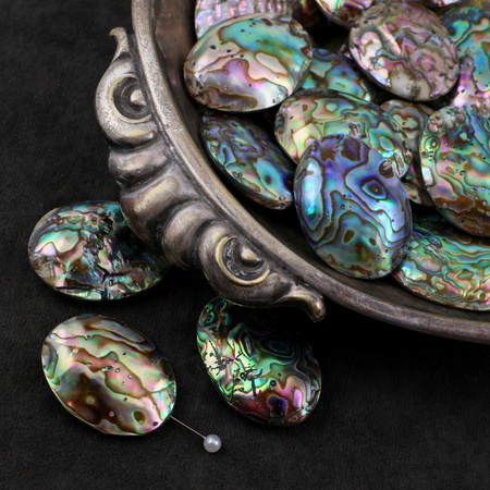 Muszla paua abalone owal 35-38mm
