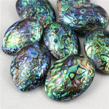 Muszla paua abalone duży owal - zawieszka 58-60mm