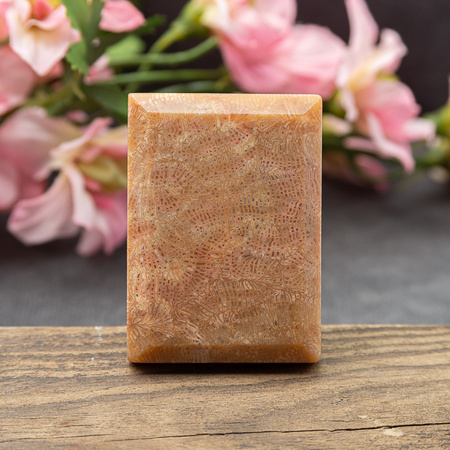 Koral fossil tabliczka prostokąt 49x35mm