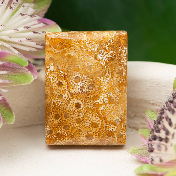 Kaboszon fossil 31x22x6mm