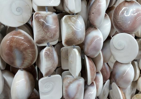 Muszla wypukłe monety - połówki 35mm