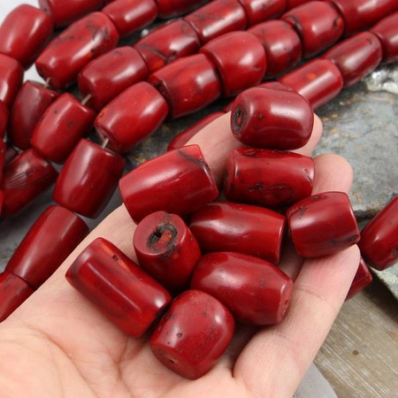 Koral czerwony robaczywka walec 20x16mm