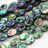 Muszla paua owal 18x13mm