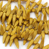 Bird Feather Beads Lemon Red Luster 5x17mm [6szt]