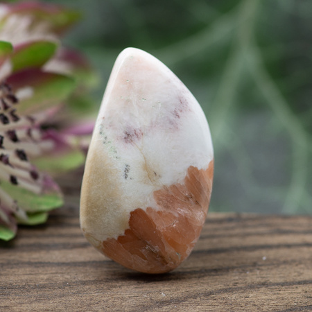 Kaboszon skolecyt 30x17x5mm