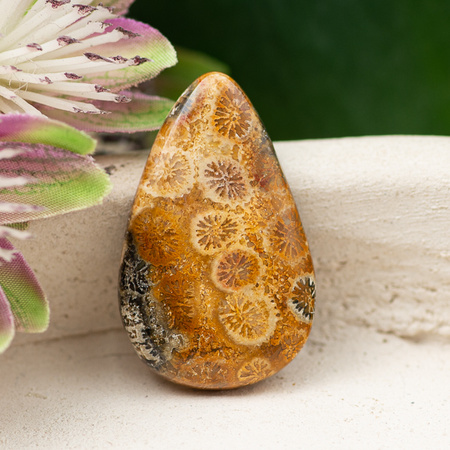 Kaboszon fossil 29x18x5mm