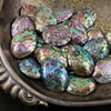 Muszla paua abalone owal 35-38mm