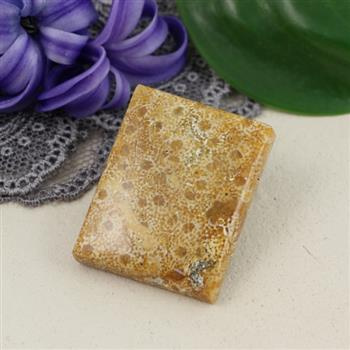 Kaboszon fossil 30x24x6mm