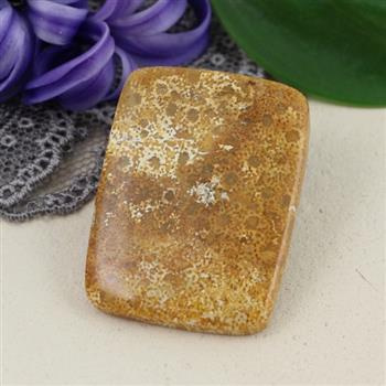 Kaboszon fossil 33x25x5mm