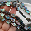 Muszla paua łezka 14x10mm [wzdłuż]