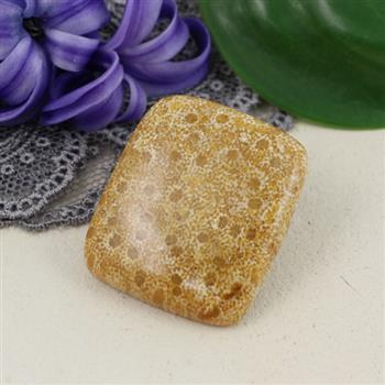 Kaboszon fossil 29x26x6mm