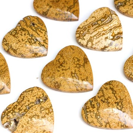 Kaboszon jaspis orbikularny serce 34x33x6mm losowy wybór