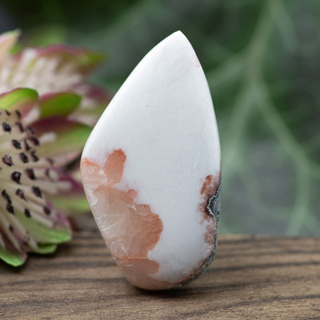 Kaboszon skolecyt 38x21x6mm