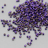 Miyuki Delica 11/0 Silver Lined Dark Purple Dyed [5g]