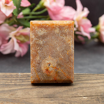 Koral fossil tabliczka prostokąt 50x35mm