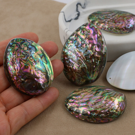 Muszla paua abalone owal zawieszka jednostronna 56-60mm