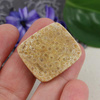 Kaboszon fossil 29x26x6mm