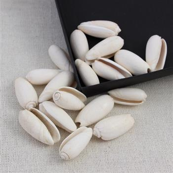 Muszelki spiralne białe bez otworu 18-35mm [10szt]