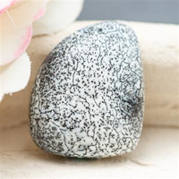 Kaboszon agat dendrytowy 21x18x6mm