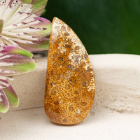 Kaboszon fossil 36x16x5mm