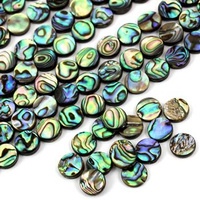 Muszla paua tęczowa moneta 10mm