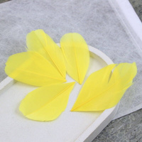Naturalne pióro żółte 6x3cm [10szt]