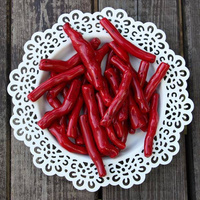 Koral czerwony papryczka 40-55mm