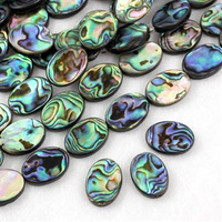 Muszla paua owal 18x13mm
