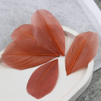 Naturalne pióro rude 6x3cm [10szt]