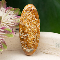 Kaboszon fossil 45x22x6mm