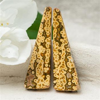 Kaboszony jaspis orbikularny 40x12x4mm [para]