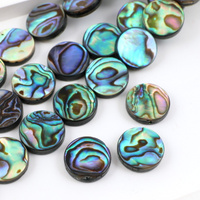 Muszla paua tęczowa moneta 14mm